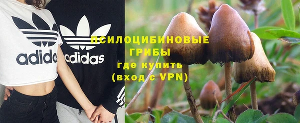 MESCALINE Аркадак